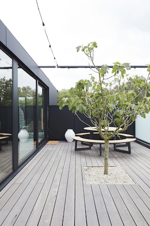 Terras