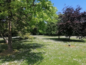 Ein Park mit Bäumen, Gras und vereinzelten weißen Blüten.