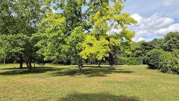 Un parque con diversos árboles y un espacio cubierto de césped.