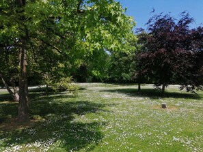 Miscellaneous - Ibis Budget Tours Sud (Chambray-les-Tours)