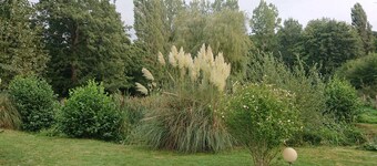 Nature and fishing lovers, house located between Châteaudun and Vendôme