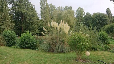 Nature and fishing lovers, house located between Châteaudun and Vendôme