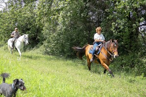Horseback riding