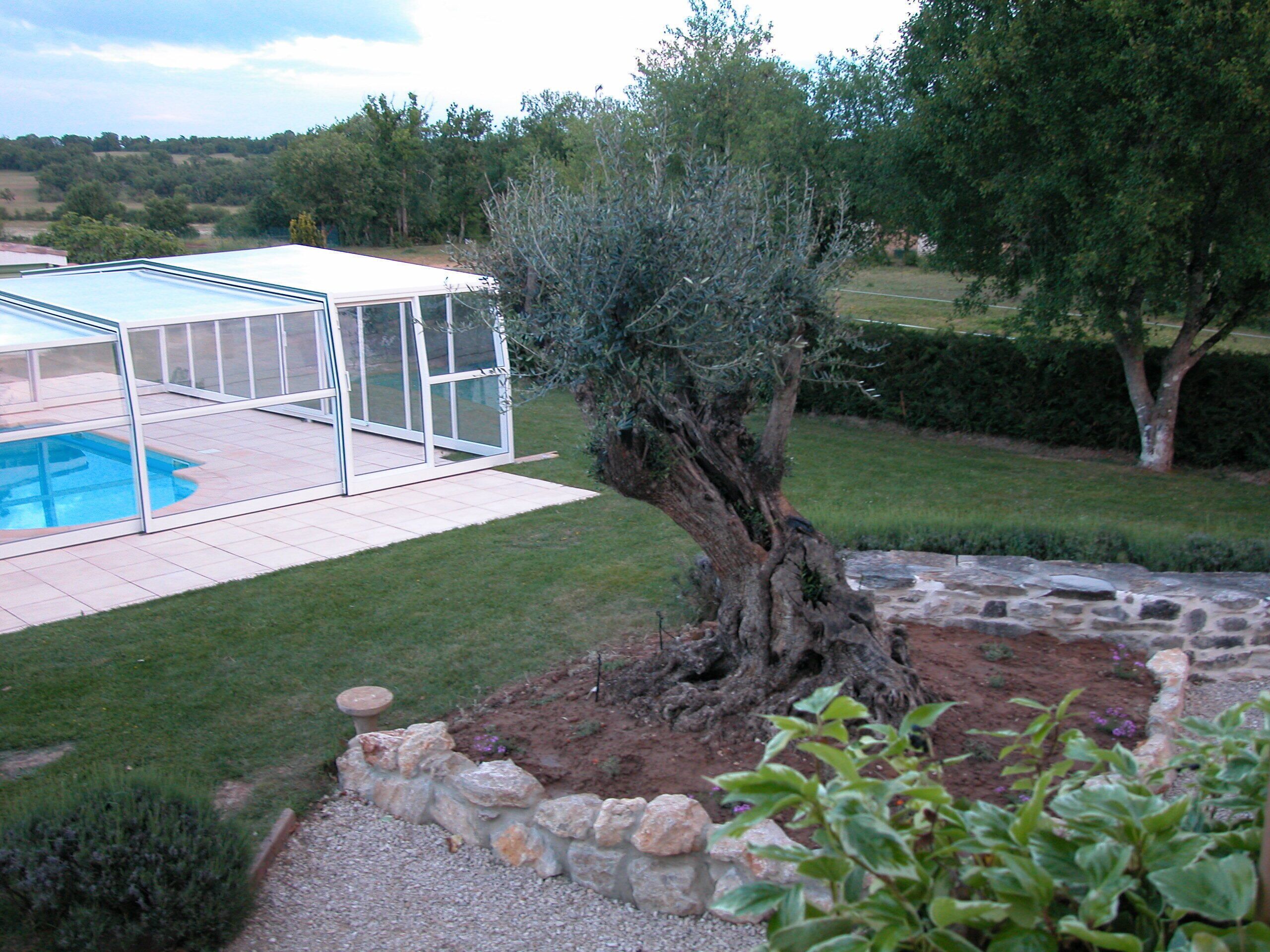 Un espace extérieur abrité avec une piscine, un mur de soutènement en pierre et un grand arbre.