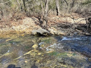 A clear stream with rocks and trees in the background. - Mountain View Creekside Cabin on 12 Acres. (Mountain View)
