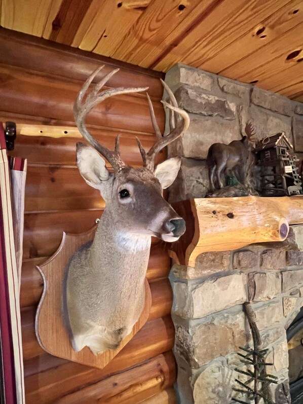 A deer head mounted on a wooden wall, a stone fireplace, and a small wooden structure resembling a birdhouse.