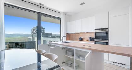 Beautiful Penthouse close to Uni Esch