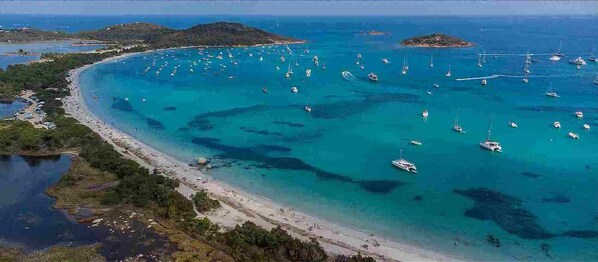 Serviettes de plage
