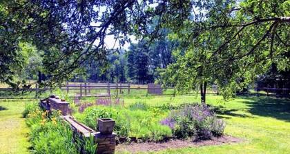 Barn House: isolated sheep farm Hudson area