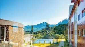 Un cortile con un vialetto, un piccolo albero e un edificio con facciata in pietra.