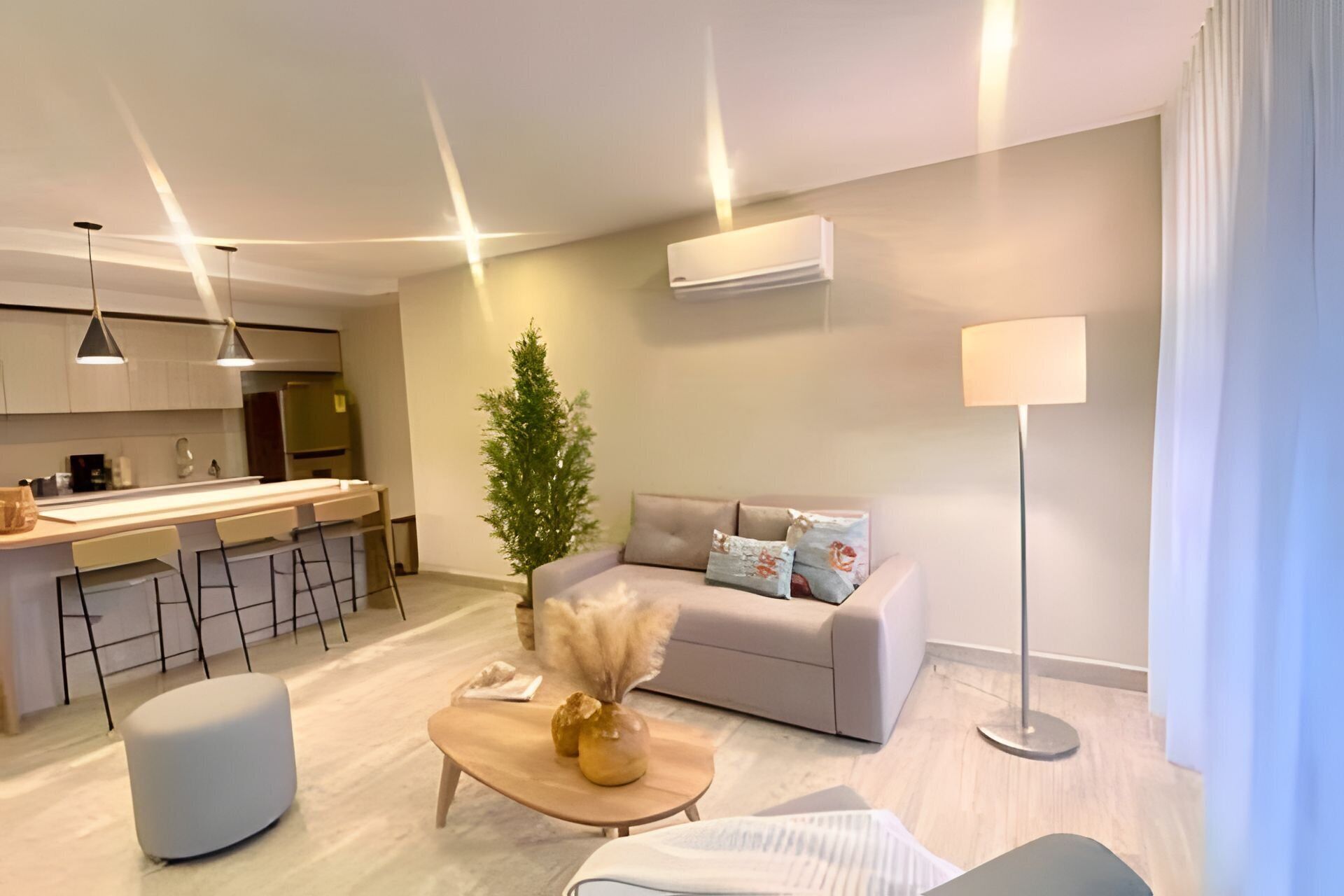 A modern living room with a sofa, ottoman, coffee table, and a small tree.