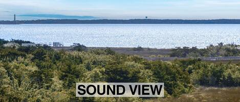 Une vue pittoresque d’une étendue d’eau, avec un phare à l’horizon et une forêt dense au premier plan.