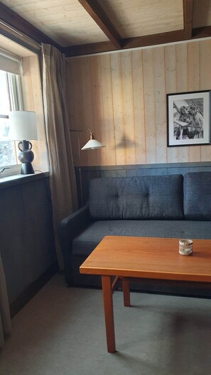 En 40-tommers Flatskjerm-TV med digitale kanaler samt TV og Netflix