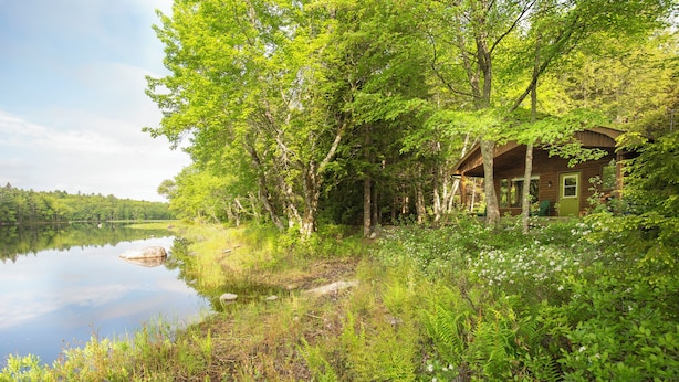 Eine Hütte, umgeben von dichtem Wald und einem stillen See.