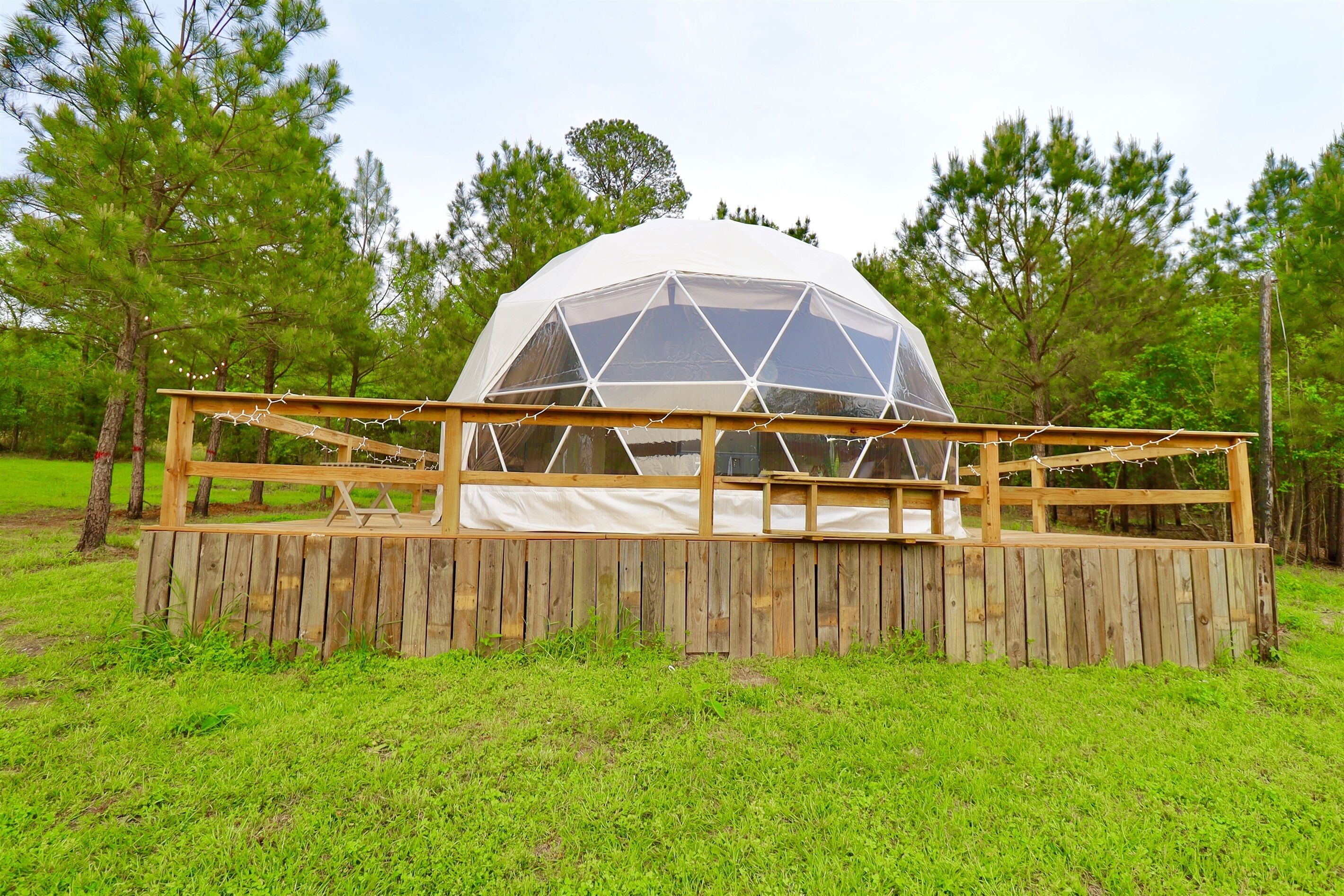 Unique Glamping Dome in East Texas