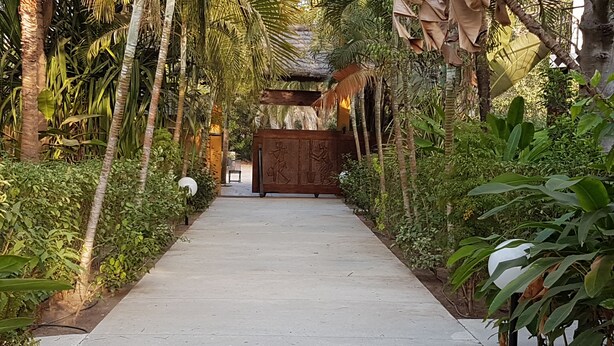 A concrete pathway flanked by lush greenery and a wooden gate leading to a building. - Les Alizés Cap Skirring (Cap Skirring)