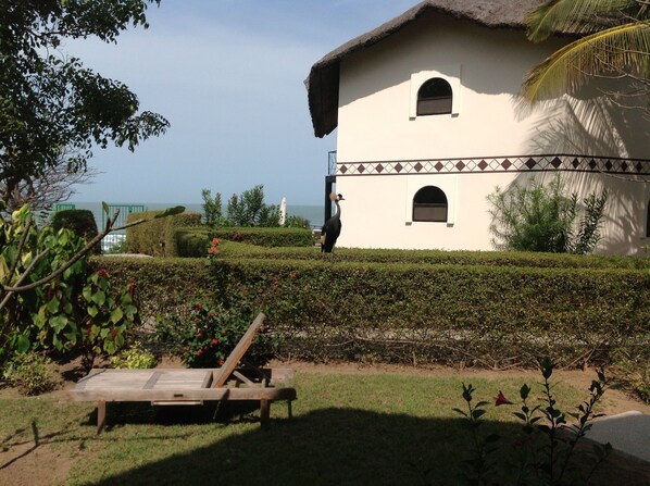A building with a thatched roof, surrounded by well-maintained hedges and a wooden bench.