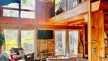 Smart TV, fireplace, books