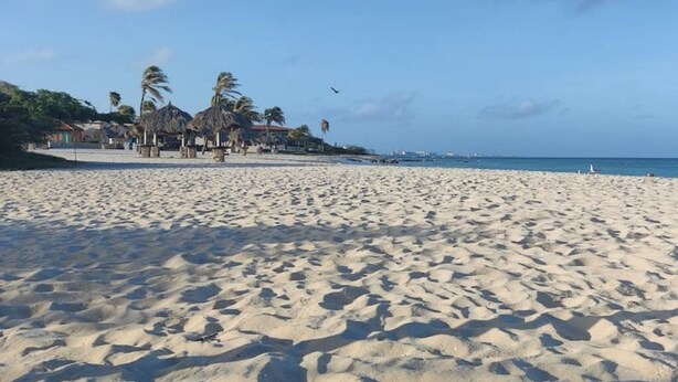 Een zandstrand met palmbomen en gebouwen met rieten daken op de achtergrond.