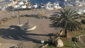 Un puerto deportivo con numerosas embarcaciones amarradas, una zona circular central con una fuente y una palmera.