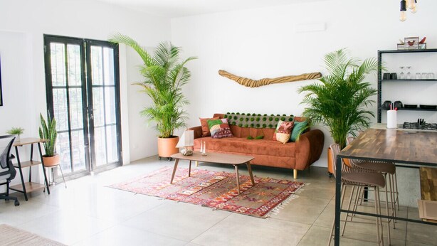Un salon spacieux avec un canapé, une table basse et des plantes en pot.