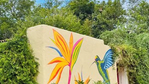 Pared con un mural llamativo de un pájaro y una flor, rodeada de abundante vegetación.