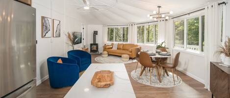 TV connectée, cheminée, lecteur de DVD, livres