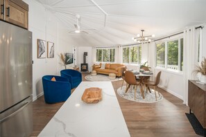 智能电视、壁炉、DVD 播放器、书