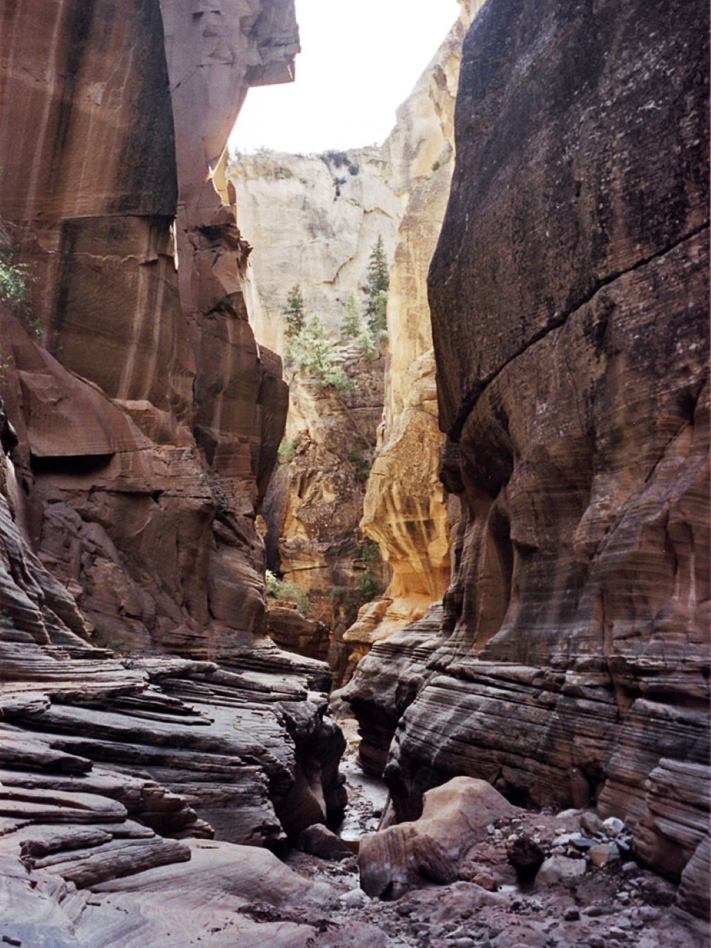 Un canyon étroit aux formations rocheuses en strates et à la végétation clairsemée.