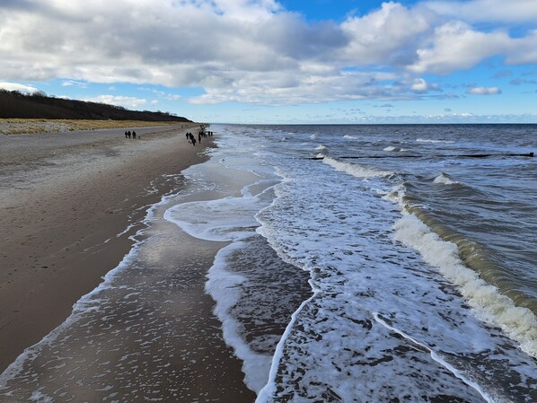 بالقرب من الشاطئ