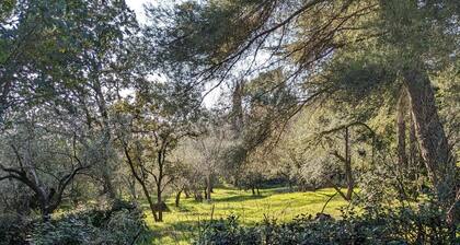Entre ville et garrigue