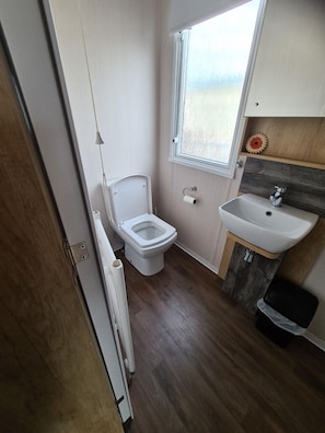 Papier toilette