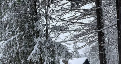 Bright Modern Secluded Vermont Home: Fish Pond + Trails, 5 Mins to Williamstown