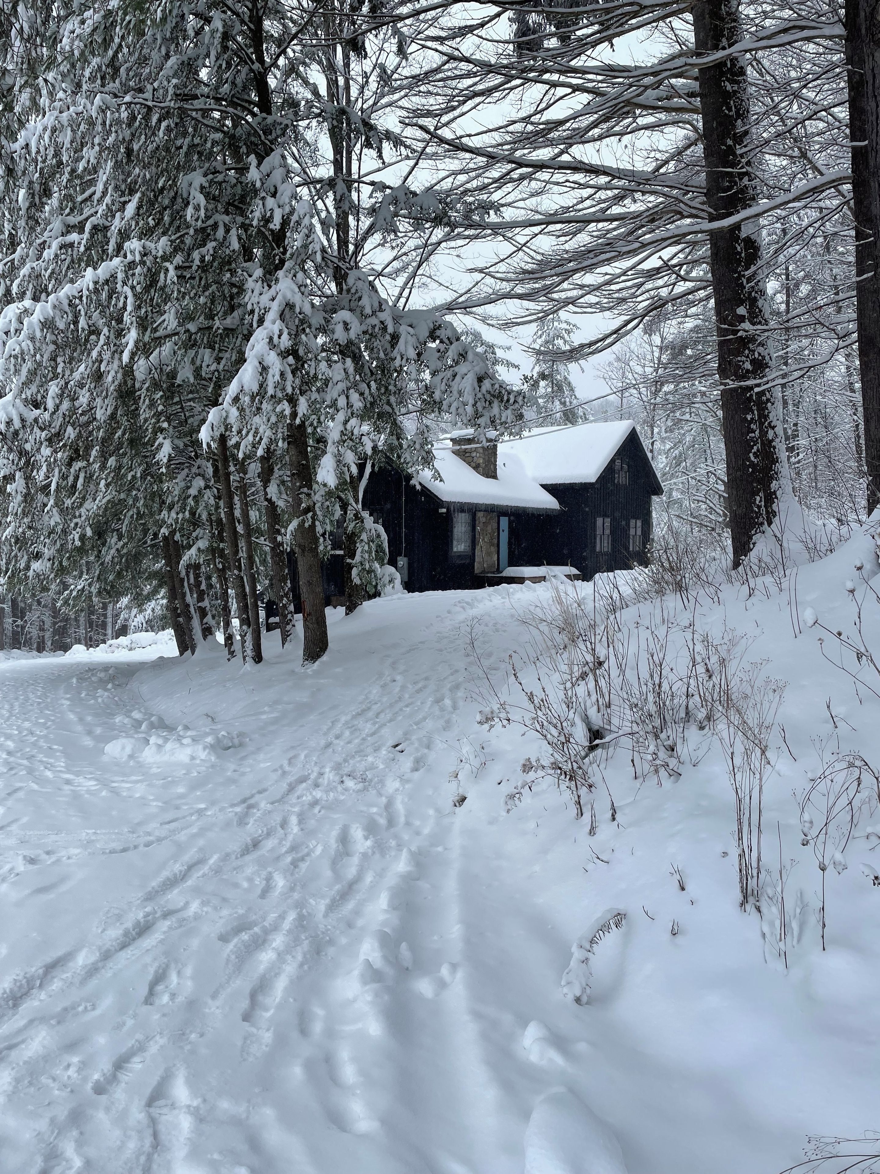 Eine verschneite Landschaft mit einer Hütte, umgeben von Bäumen.