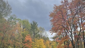 Un chalet rustique entouré d’une forêt aux couleurs automnales.