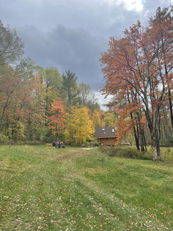 A rustic cabin surrounded by a forest with autumn foliage.