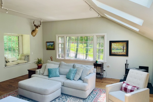 Smart TV, fireplace, DVD player, video library