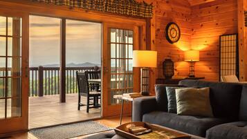 TV connectée, cheminée, livres, chaßne hi-fi