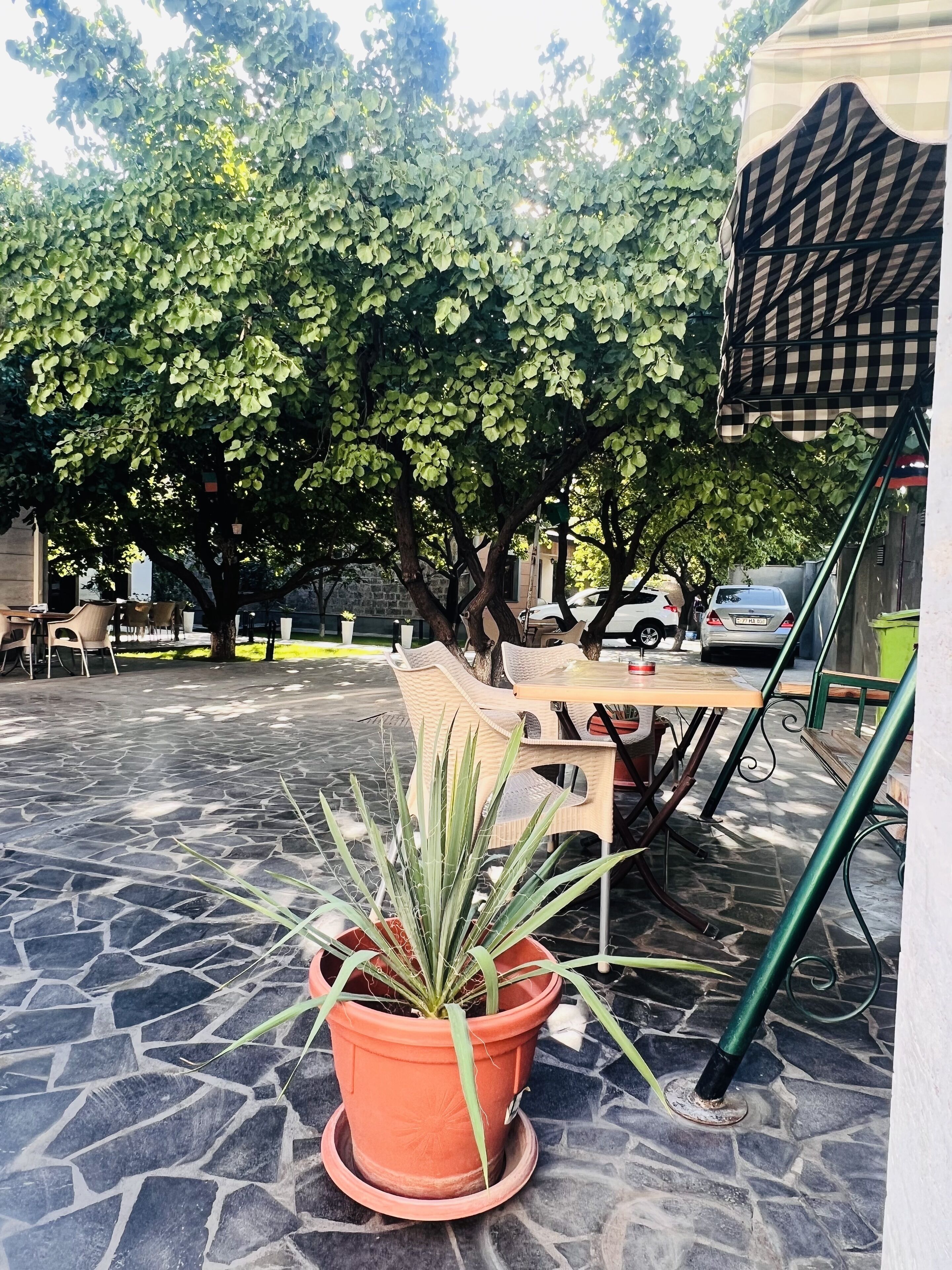 40-inch flat-screen tv with digital channels, tv