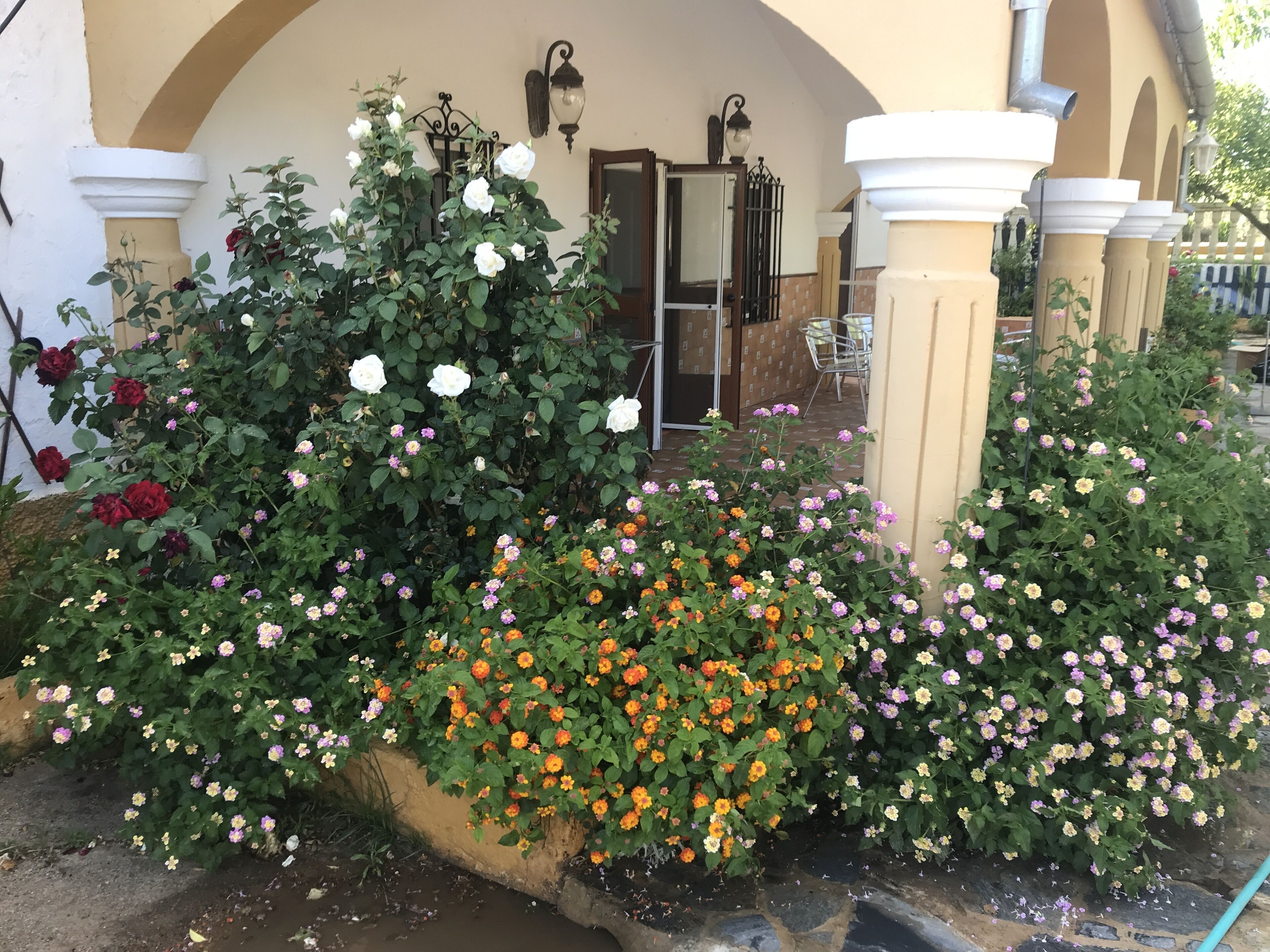 Details aan de buitenkant