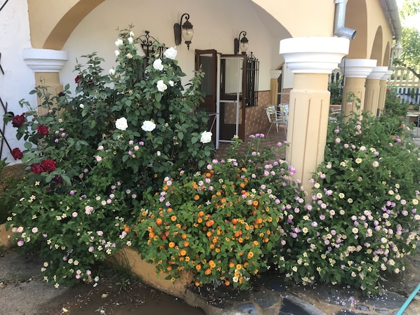 A garden with various flowers and a building entrance with columns and a door.