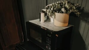 Una cocina compacta con lavavajillas negro, un microondas y una pequeña planta en maceta encima del microondas.