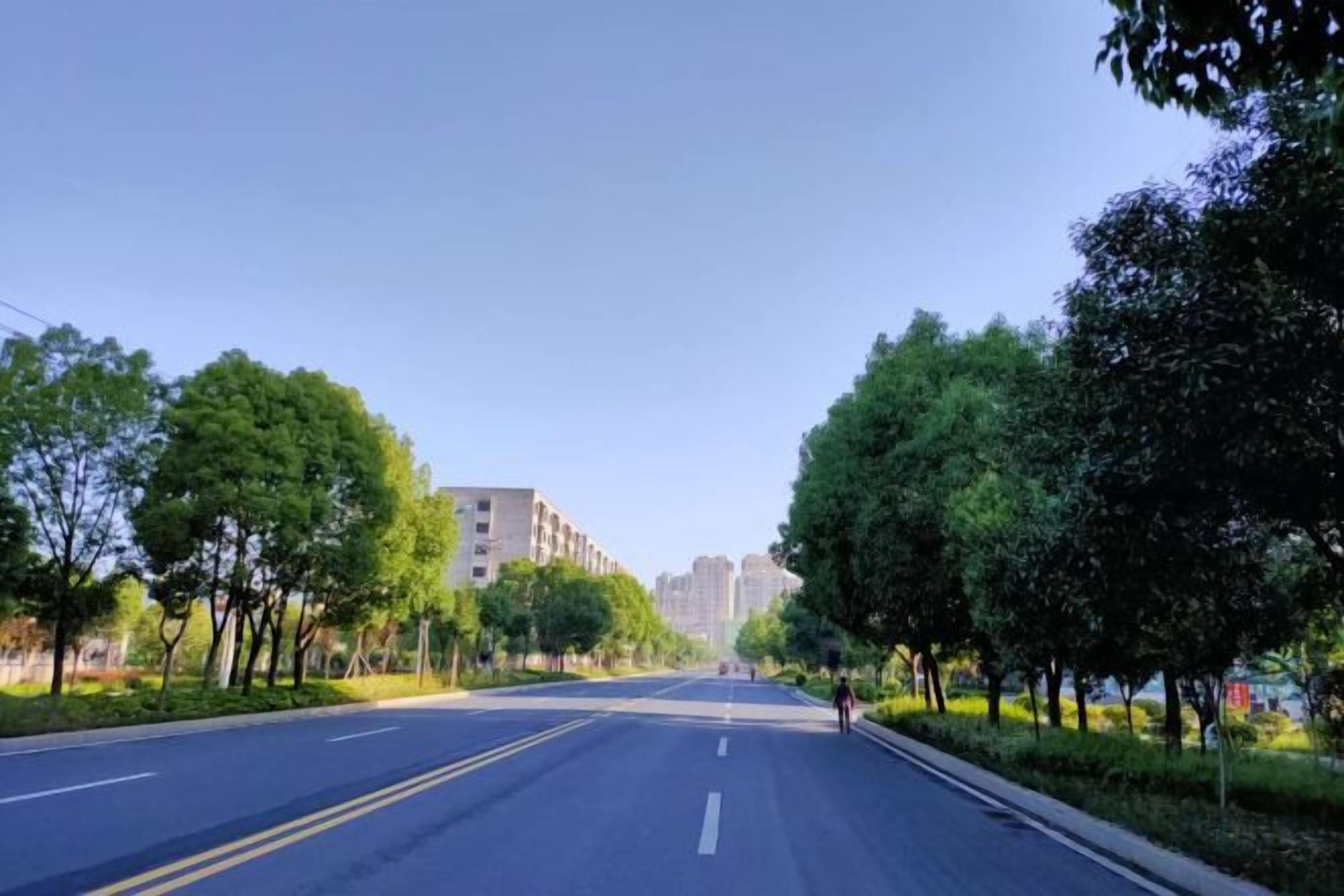 Una carretera recta bordeada de árboles y edificios.