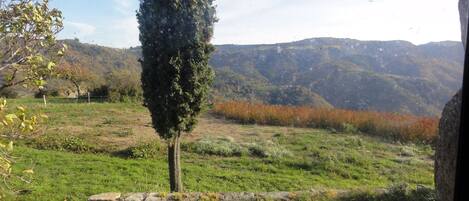 الإطلالة من المنشأة