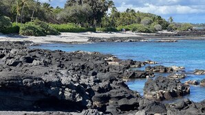 Ein Strand mit dunklen vulkanischen Felsen im Vordergrund, klarem blauen Wasser und Palmen im Hintergrund.
