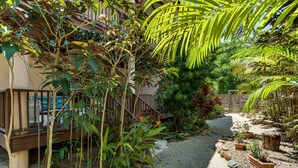 Un sendero bordeado por diversas plantas y una terraza de madera.