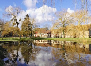 Property grounds - Renovated Perche farmhouse in the countryside. Ideal for friends/family (=> 20 pers.) (Saint-Julien-sur-Sarthe)