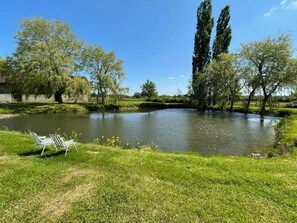 Property grounds - Renovated Perche farmhouse in the countryside. Ideal for friends/family (=> 20 pers.) (Saint-Julien-sur-Sarthe)