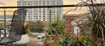 Private Rooftop Deck!/Artsy Apt/Old Port Arts Dist