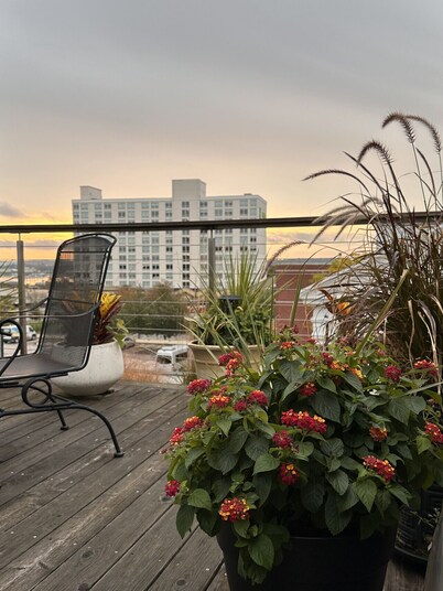 Private Rooftop Deck!/Artsy Apt/Old Port Arts Dist